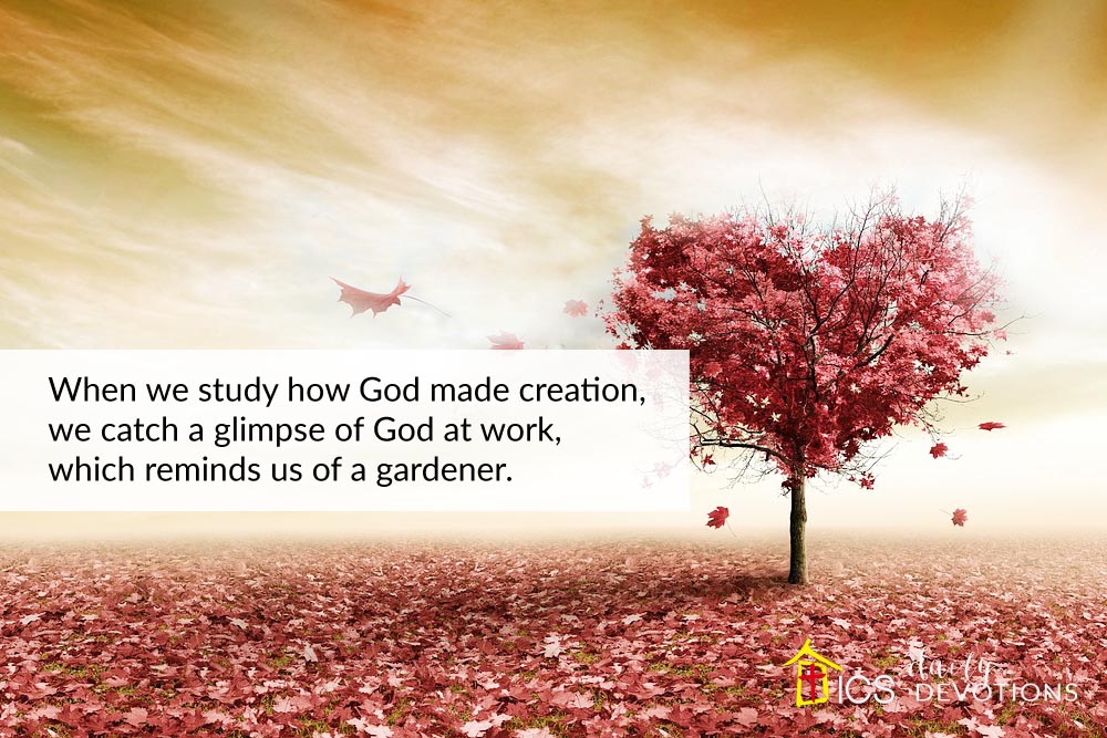 we-are-stewards-of-god-s-creation-in-christ-singapore